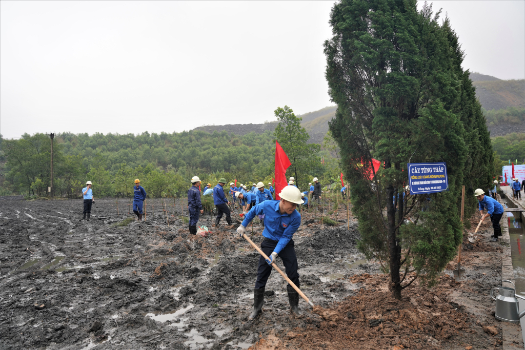 Đoàn viên thanh niên Công ty Than Quang Hanh tham gia trồng cây xanh khu vực khai trường sản xuất. Ảnh CTV cung cấp