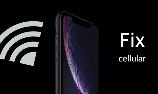 Một số iPhone chạy iOS 17.1.2 gặp lỗi kết nối mạng di động