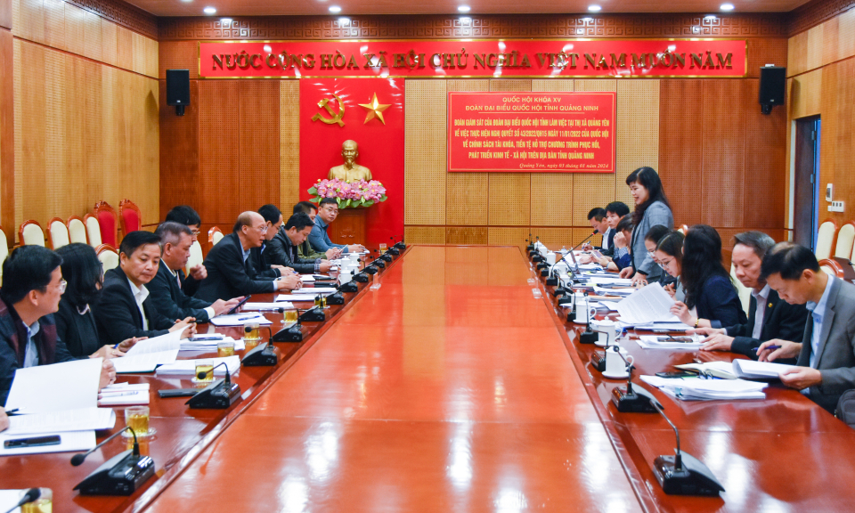 Đoàn ĐBQH tỉnh giám sát việc thực hiện Nghị quyết số 43/2022/QH15 của Quốc hội