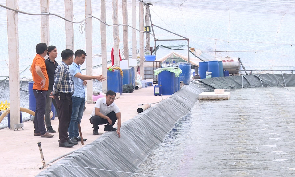 Sản xuất nông nghiệp gắn với bảo vệ môi trường