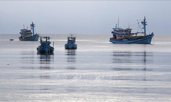 Coast guard force continues focusing on IUU fishing prevention, combat in 2024
