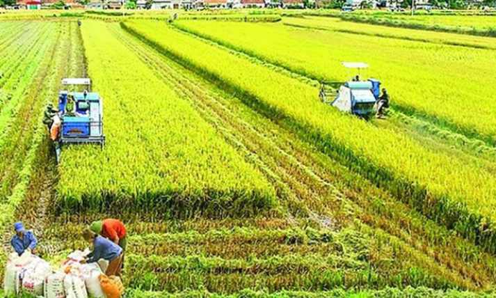 Agriculture reaches highest growth rate in 10 years