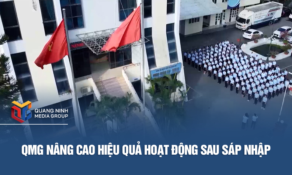 QMG nâng cao hiệu quả hoạt động sau sáp nhập