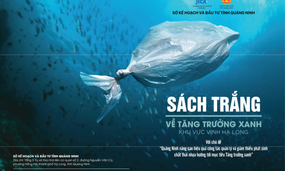 Bản tin Vùng Đông Bắc ngày 6/1/2024