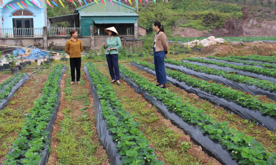 Sôi nổi hoạt động thi đua của Hội Liên hiệp Phụ nữ Đầm Hà