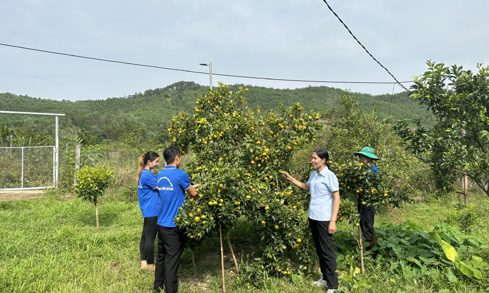 Nông thôn mới - Hành trình chuyển từ lượng sang chất