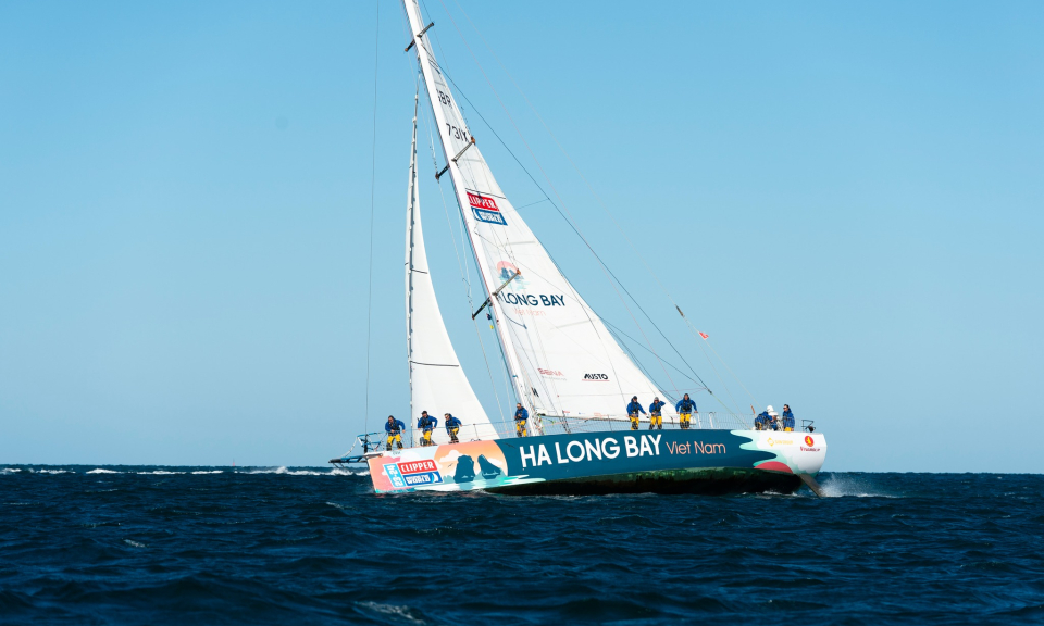 Nắm bắt cơ hội từ Cuộc đua thuyền buồm Clipper Race