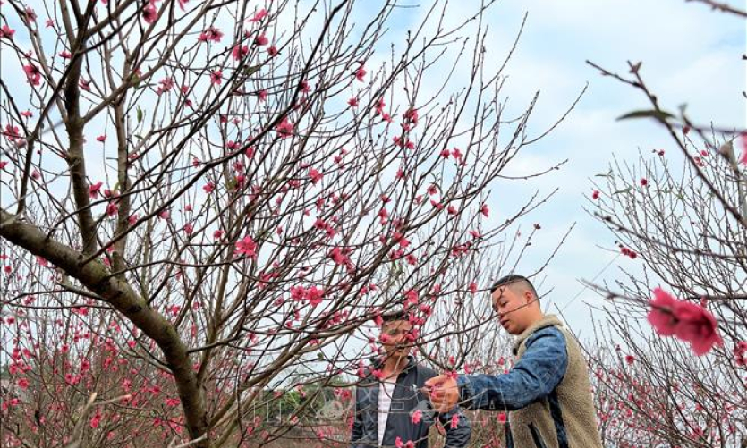 Bản tin vùng Đông Bắc ngày 09/01/2024