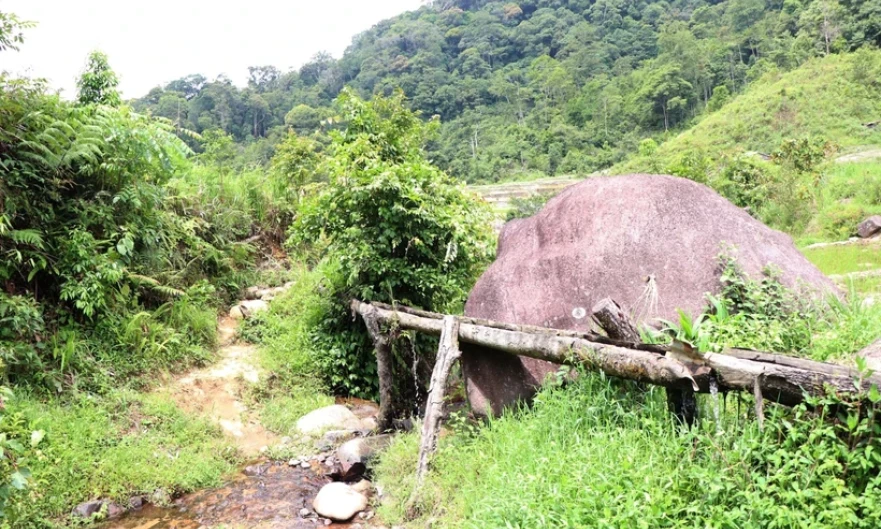 Kon Tum: Đã tìm thấy hai cha con bị mất tích trong rừng nhiều ngày