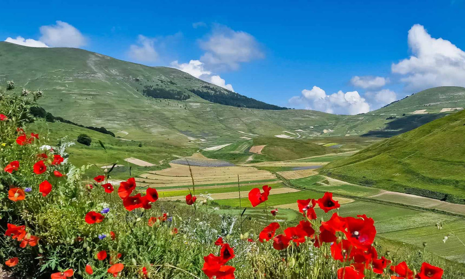 Đến Ý, ngắm thung lũng hoa rực rỡ tại làng Castelluccio