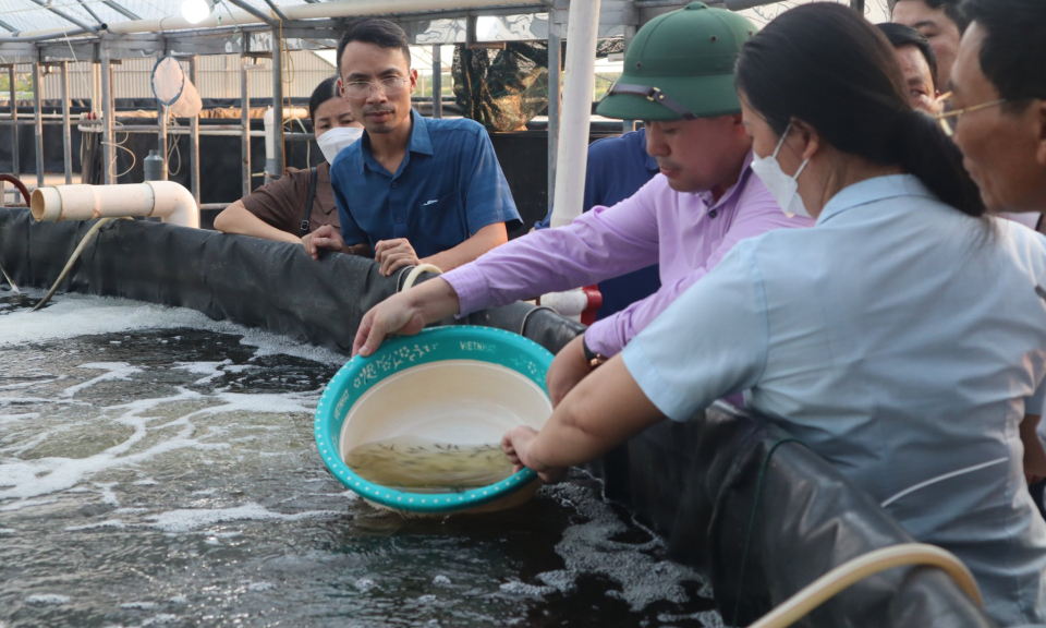 Tiếp tục phát triển nông nghiệp công nghệ cao gắn với xây dựng NTM hiện đại, nông dân văn minh