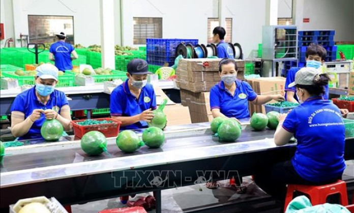 Exports of fruits, vegetables expected to grow by 15-20% in 2024
