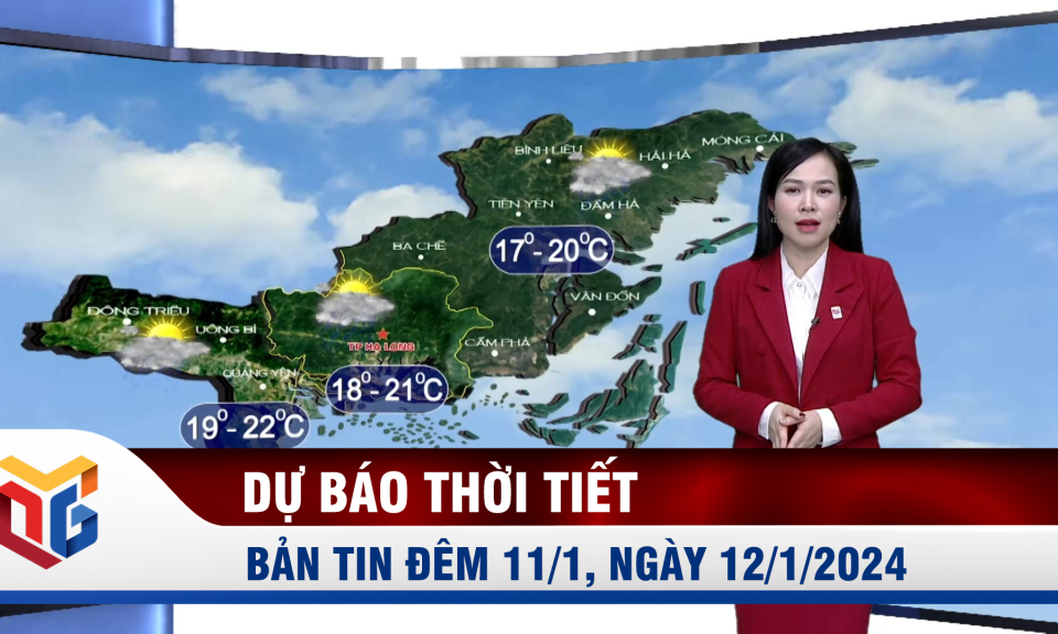 Bản tin dự báo thời tiết đêm 11/1, ngày 12/1/2024