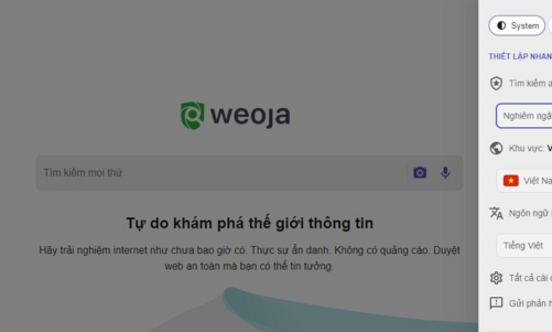 Thuật toán giúp công cụ tìm kiếm 'made in Vietnam' đạt kết quả tối ưu
