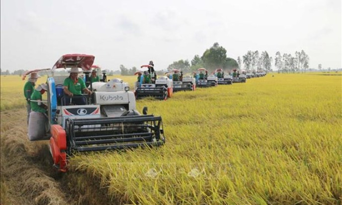 Agriculture sector sets new records amid global challenges