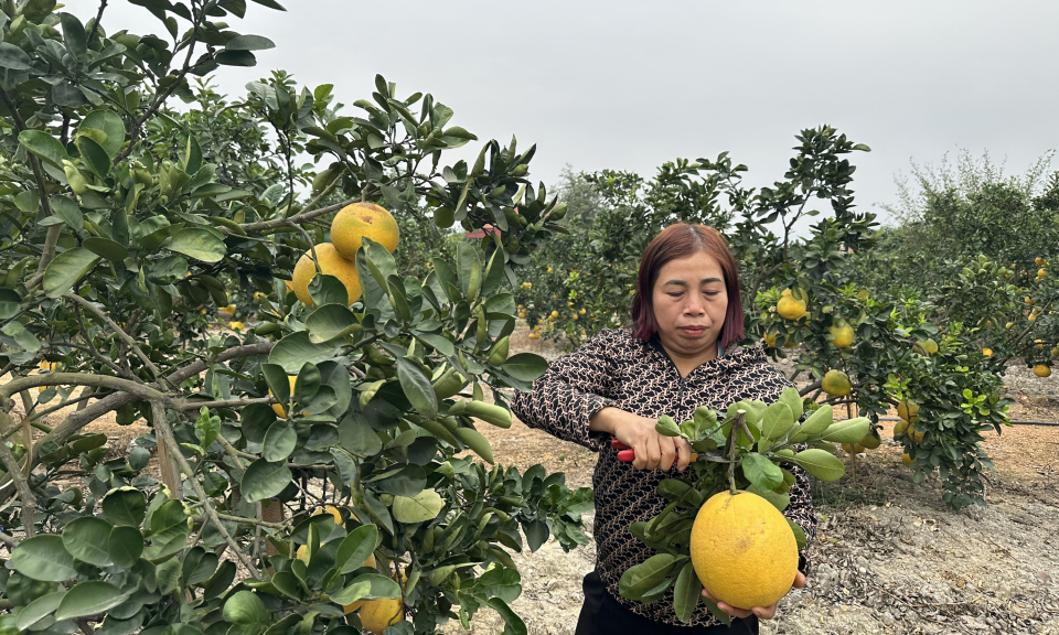 Đòn bẩy nâng cao thu nhập của người dân