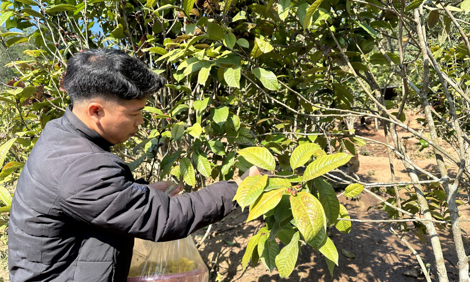 Phát huy vai trò đảng viên dân tộc thiểu số