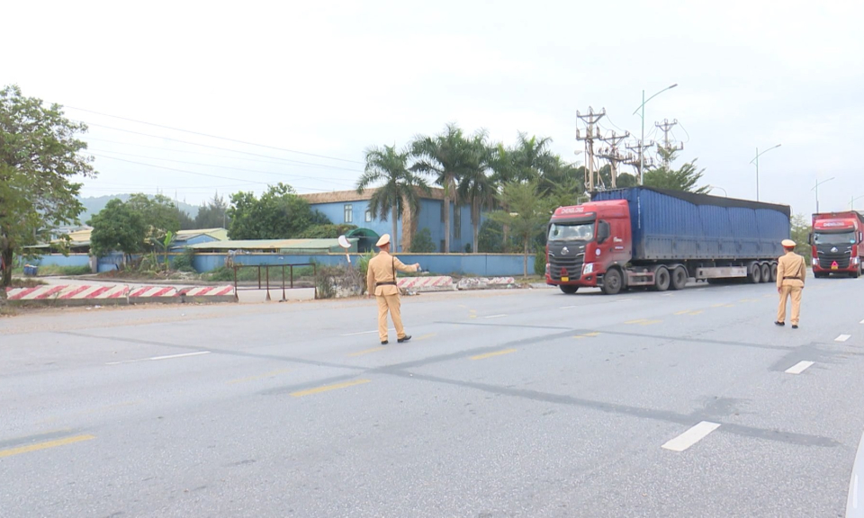 Tiếp tục xử lý nghiêm việc vận chuyển, kinh doanh dăm gỗ gây ảnh hưởng môi trường