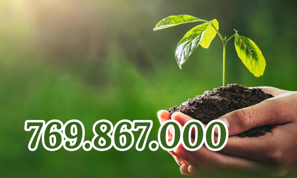769.867.000 -  là số cây xanh đã được trồng trên toàn quốc trong Đề án “Trồng một tỷ cây xanh giai đoạn 2021-2025”