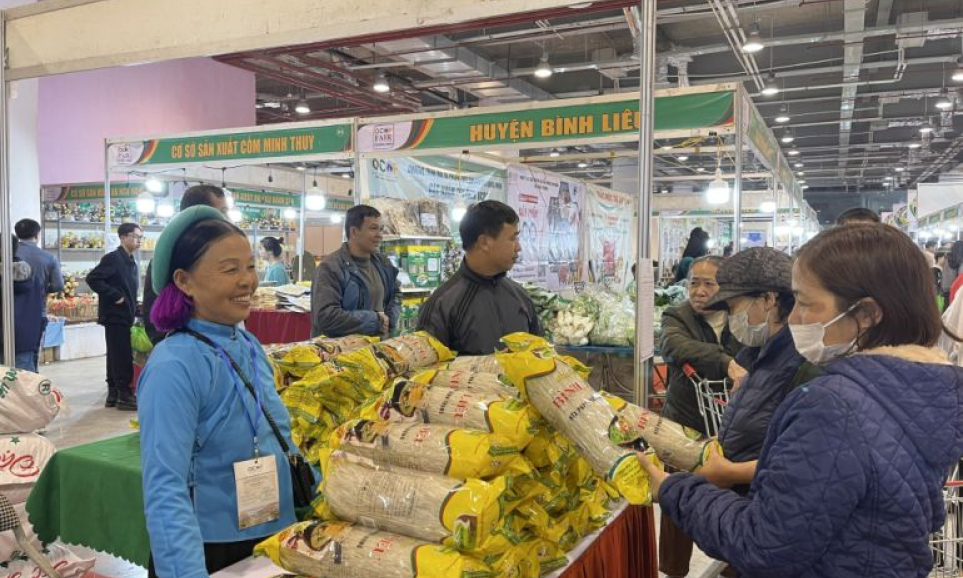 Bản tin vùng Đông Bắc ngày 17/1/2024