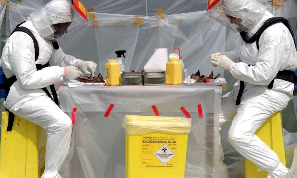 Nguyên nhân gây gia tăng virus truyền bệnh từ động vật sang người