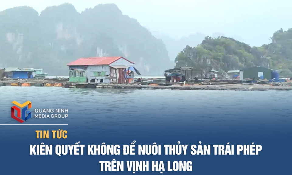 Kiên quyết không để nuôi thủy sản trái phép trên Vịnh Hạ Long