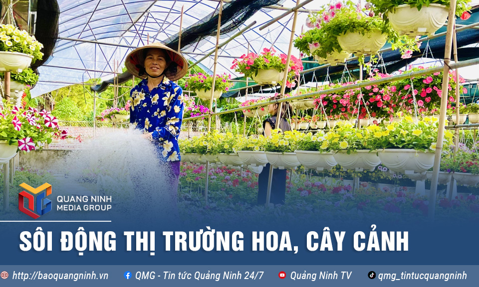 Sôi động thị trường hoa, cây cảnh