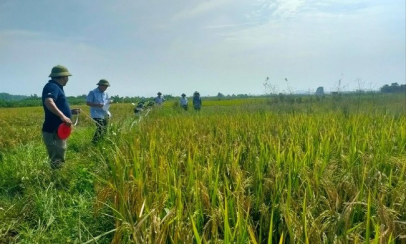 Luật Đất đai sửa đổi: Nhiều quy định mới với đất nông nghiệp