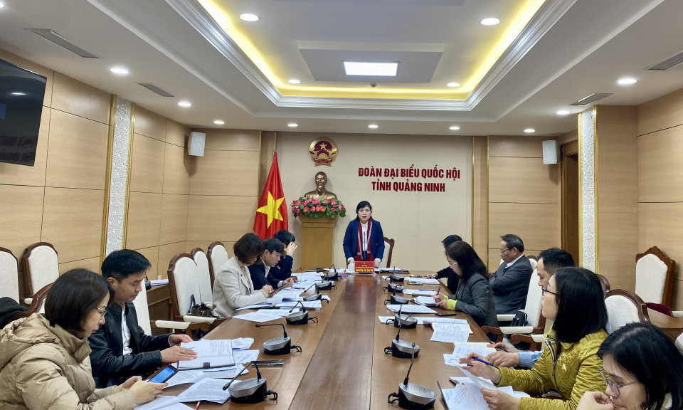 Đoàn ĐBQH tỉnh chuẩn bị giám sát chuyên đề về hoạt động của các đơn vị sự nghiệp công lập