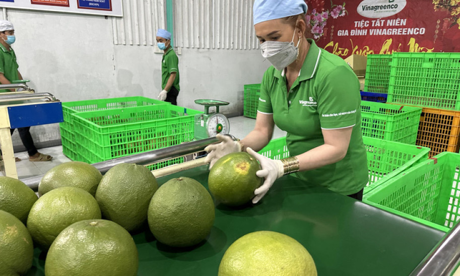 Mới đầu năm, nông sản xuất khẩu 'nổ' đơn liên tục