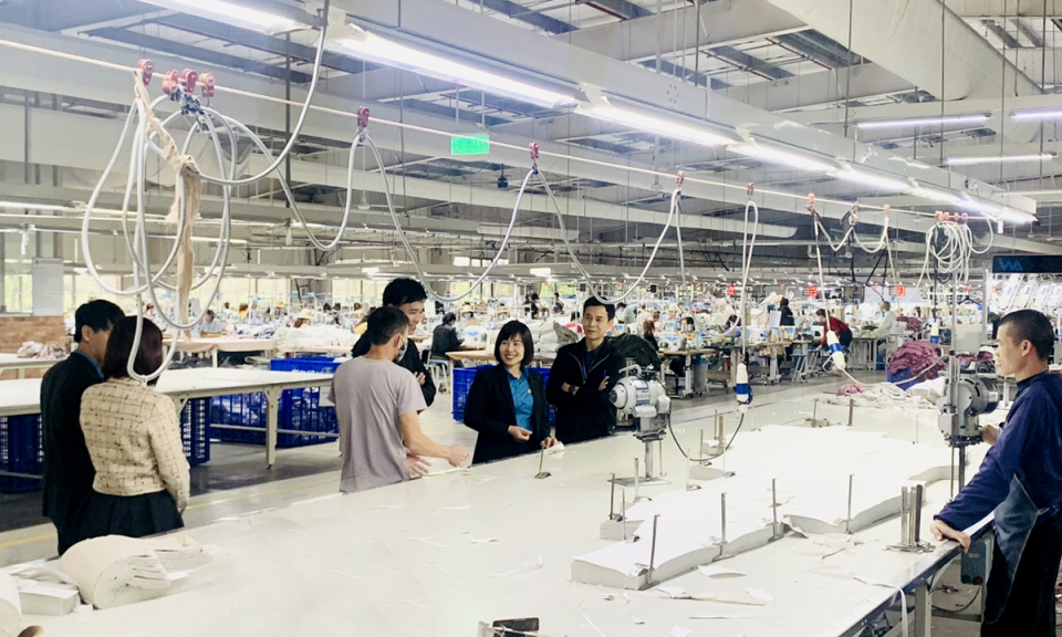 Bản tin vùng Đông Bắc ngày 24/01/2024