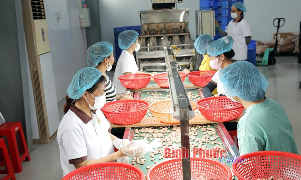 'Lợi kép' khi doanh nghiệp về nông thôn 
