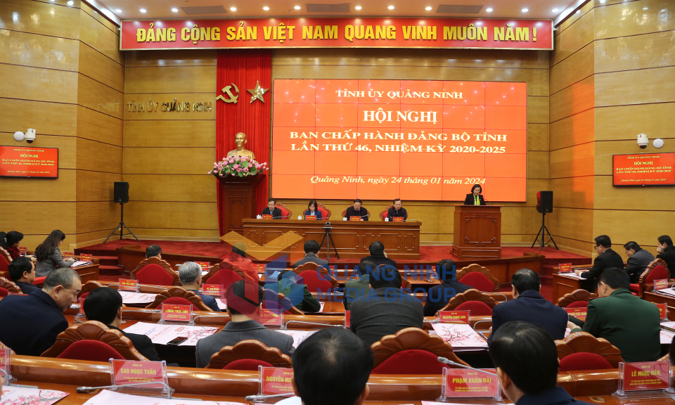 Hội nghị Ban Chấp hành Đảng bộ tỉnh lần thứ 46, nhiệm kỳ 2020-2025, tháng 1-2024