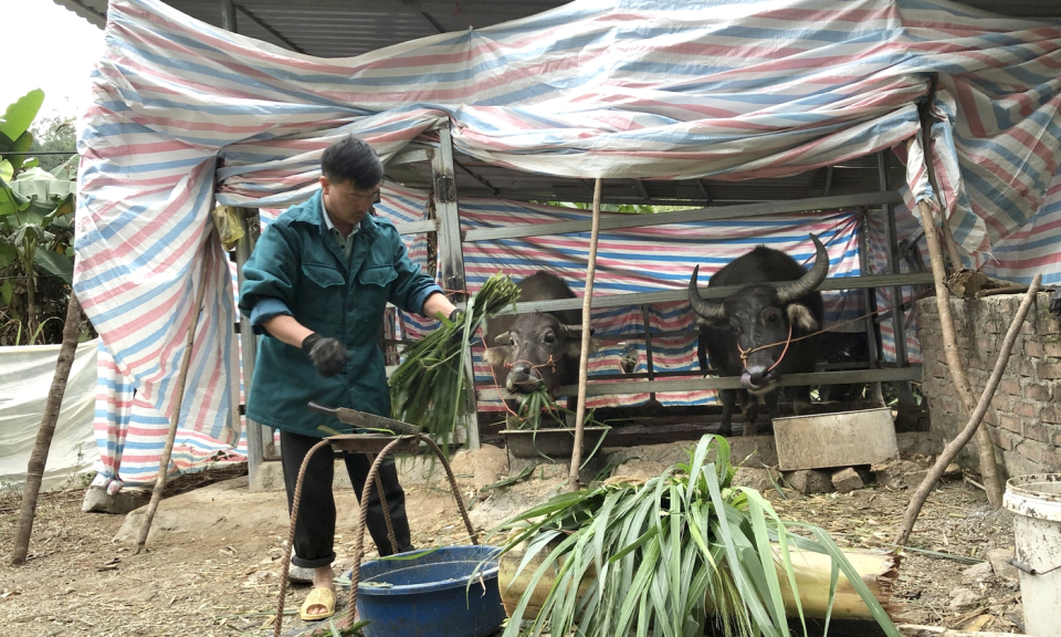 Bản tin vùng Đông Bắc ngày