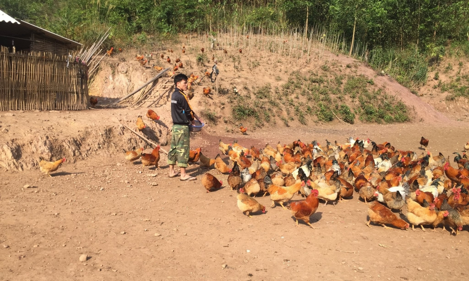 Tạo đà phát triển từ khí thế sản xuất nông nghiệp đầu năm