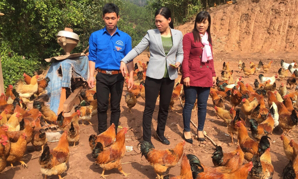 Công nhận Đầm Hà, Tiên Yên đạt huyện chuẩn NTM nâng cao; huyện Bình Liêu đạt chuẩn NTM