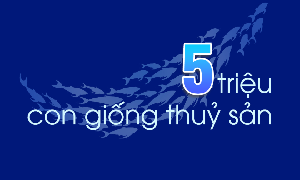 5 triệu - là số con giống thủy sản mà QN phấn đấu thả ra môi trường tự nhiên trong năm 2024