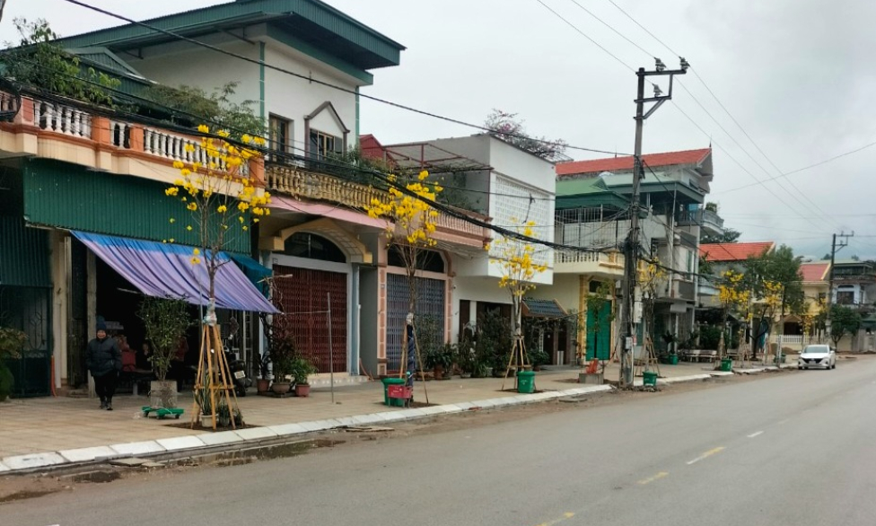 Thành phố 4 mùa hoa