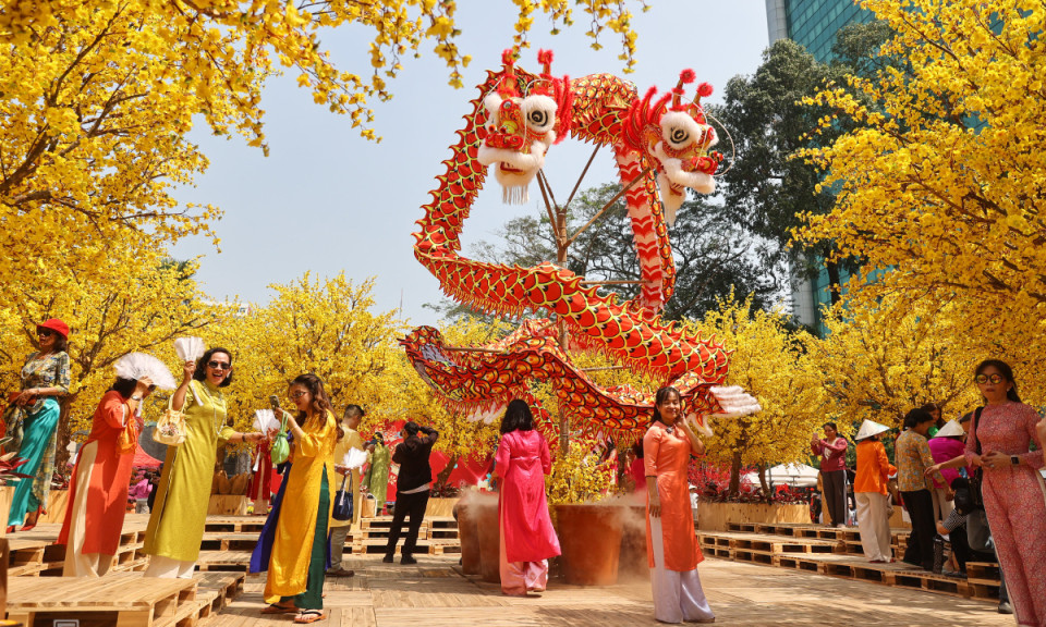 Khu vườn hoa mai hút khách ở trung tâm TP HCM
