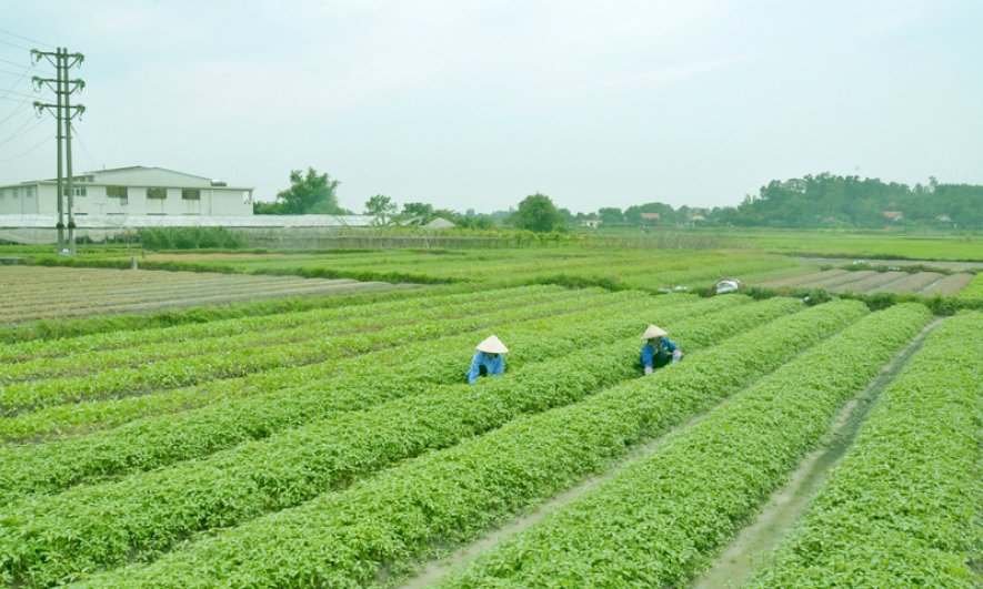 Tính ứng dụng cao từ nhiệm vụ khoa học - công nghệ 