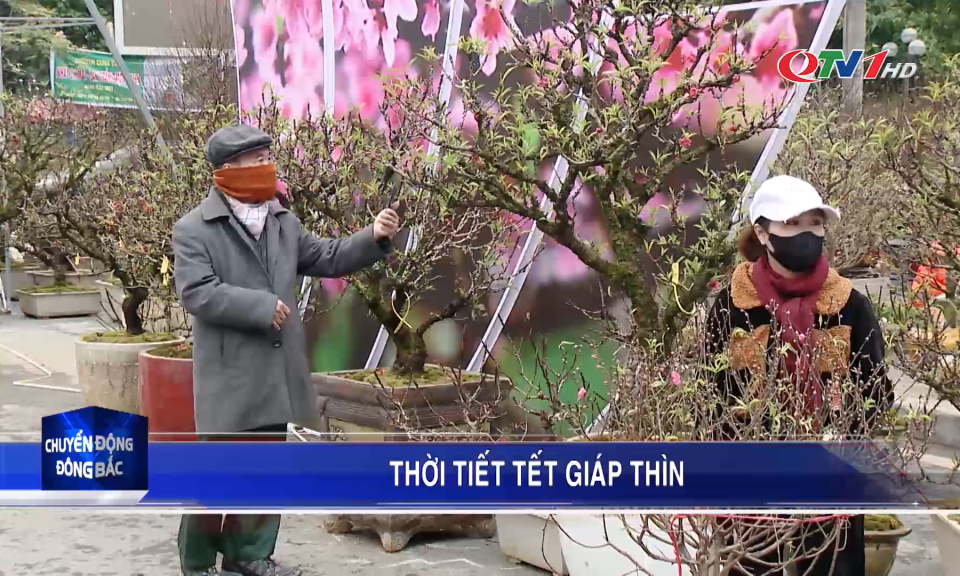 Thời tiết Tết Nguyên đán Giáp Thìn 2024