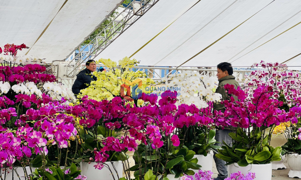 2024 Spring Flower Fair scheduled for January 31