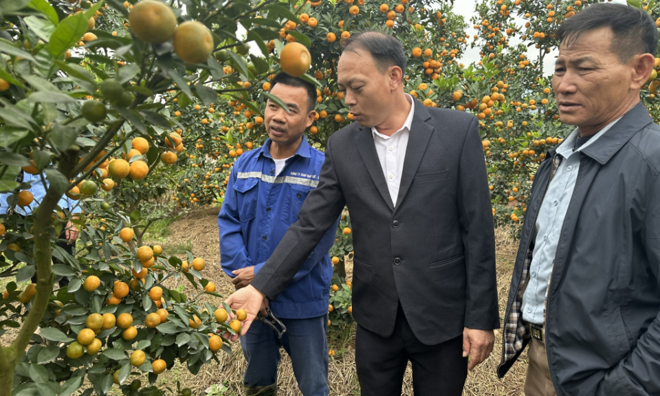 Song hành cùng doanh nghiệp phát triển
