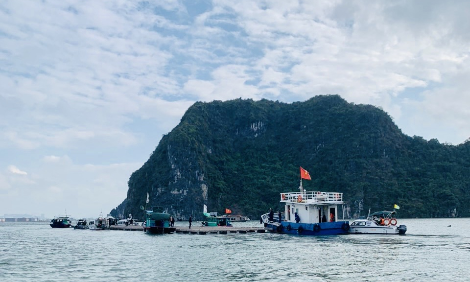 TP Hạ Long: 35/42 hộ NTTS trái phép trên Vịnh đã hoàn thành việc di dời, tháo dỡ