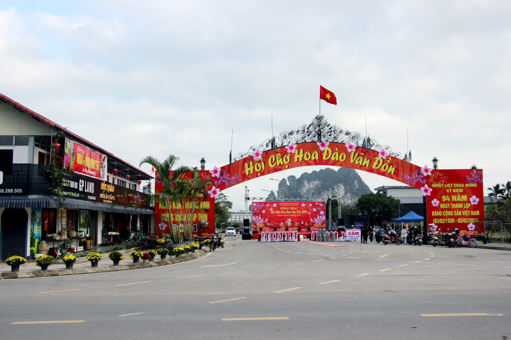 Do là sản phẩm đặc trưng riêng có nên dịp Tết năm nay, UBND xã Hạ Long đã tổ chức thành Hội chợ hoa đào Vân Đồn để phục vụ nhu cầu mua bán, chơi Tết của nhân dân.