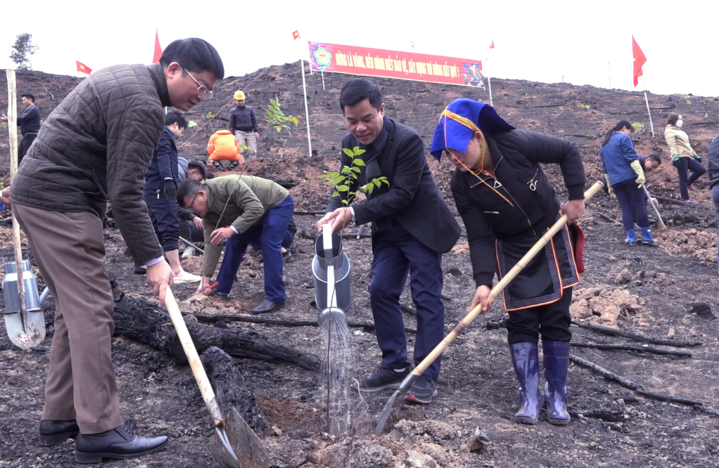 Trong năm 2023, huyện Ba Chẽ đặt mục tiêu trồng mới trên 3.000 ha rừng tập trung.