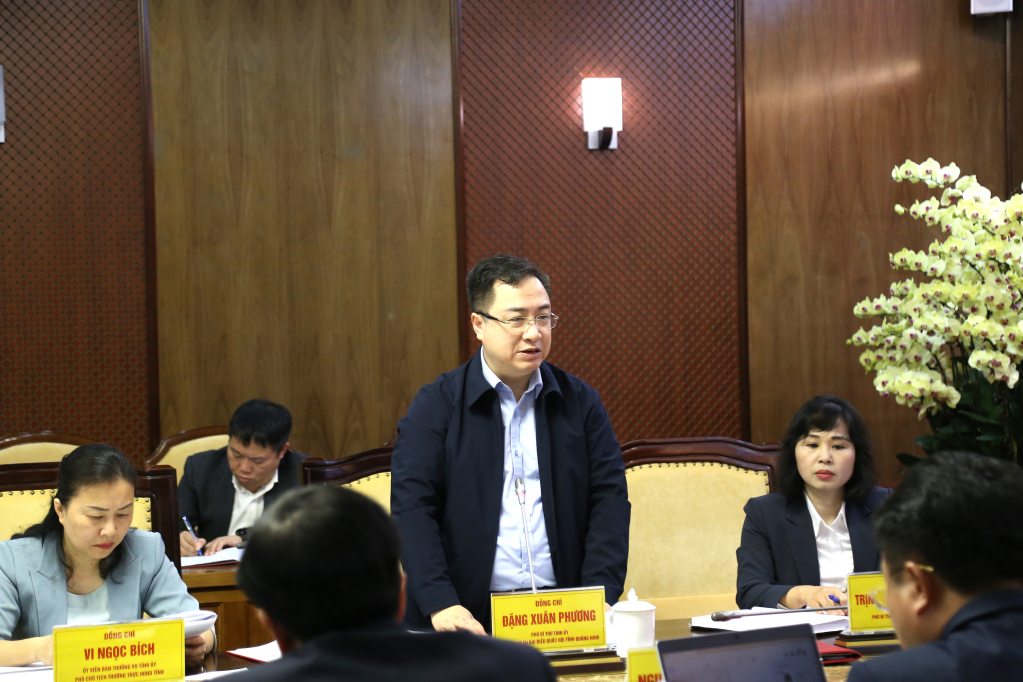 Đồng chí Đặng Xuân Phương, Phó Bí thư Tỉnh ủy, phát biểu tại hội nghị.