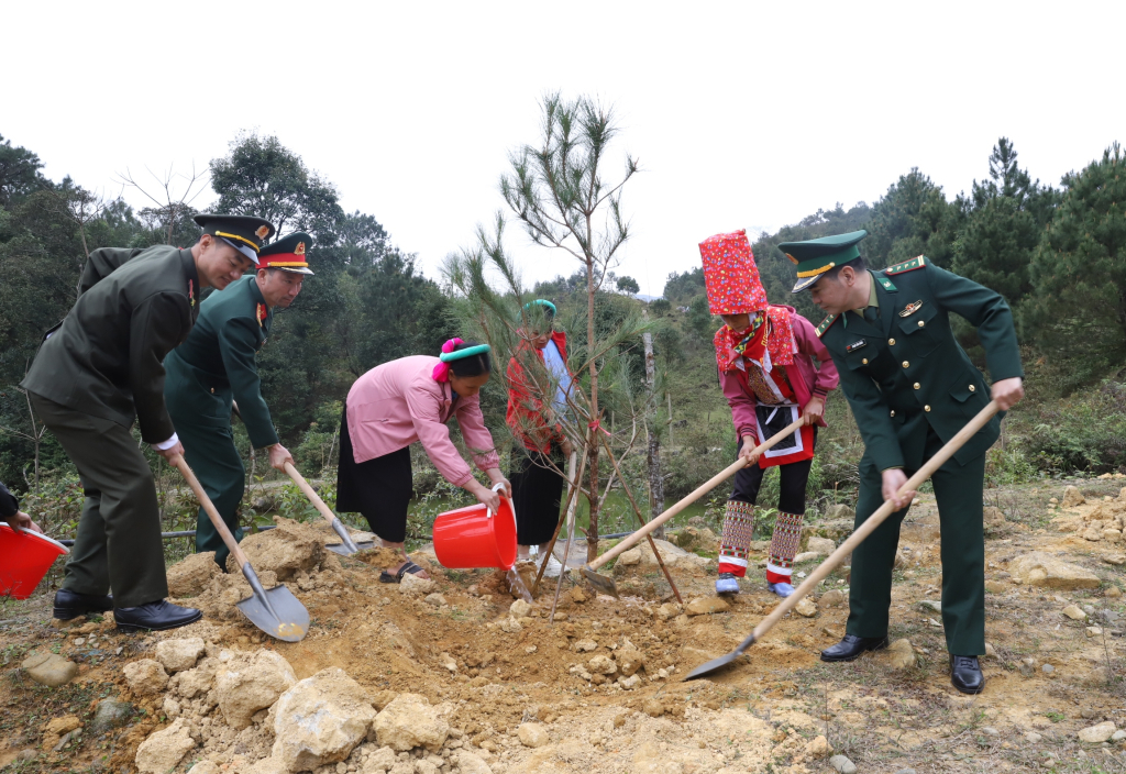 Cán bộ, chiến sĩ và nhân dân huyện Bình Liêu hưởng ứng Tết trồng cây 2024. Ảnh: Hoàng Gái