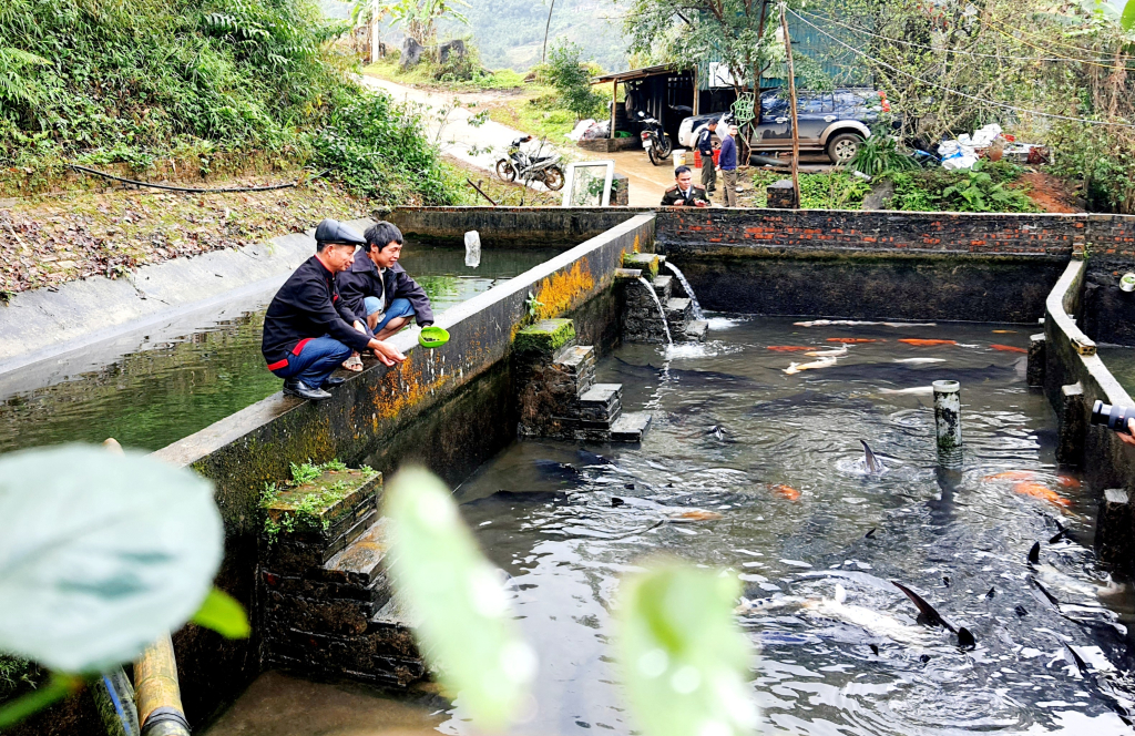 Người dân thôn Khe Tiền, xã Đồng Văn, huyện Bình Liêu nuôi cá nước lạnh.