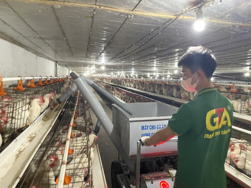 Trang trại Tân An (TX Quảng Yên) sử dụng máy cho gà ăn tự động để kiểm soát lượng thức ăn và tiết kiệm nhân công. Ảnh: Nguyên Ngọc
